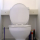 A fat girl sits down on a toilet and pisses for a long time. She farts and takes a semi-soft sounding shit with some decent plops. Great audio, but no product or face is shown in this clip. Presented in 720P HD. About 5 minutes.